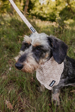 Champagne Clover Bandana - Perlujo