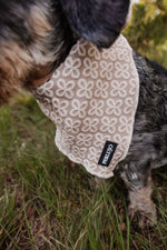 Champagne Clover Bandana - Perlujo