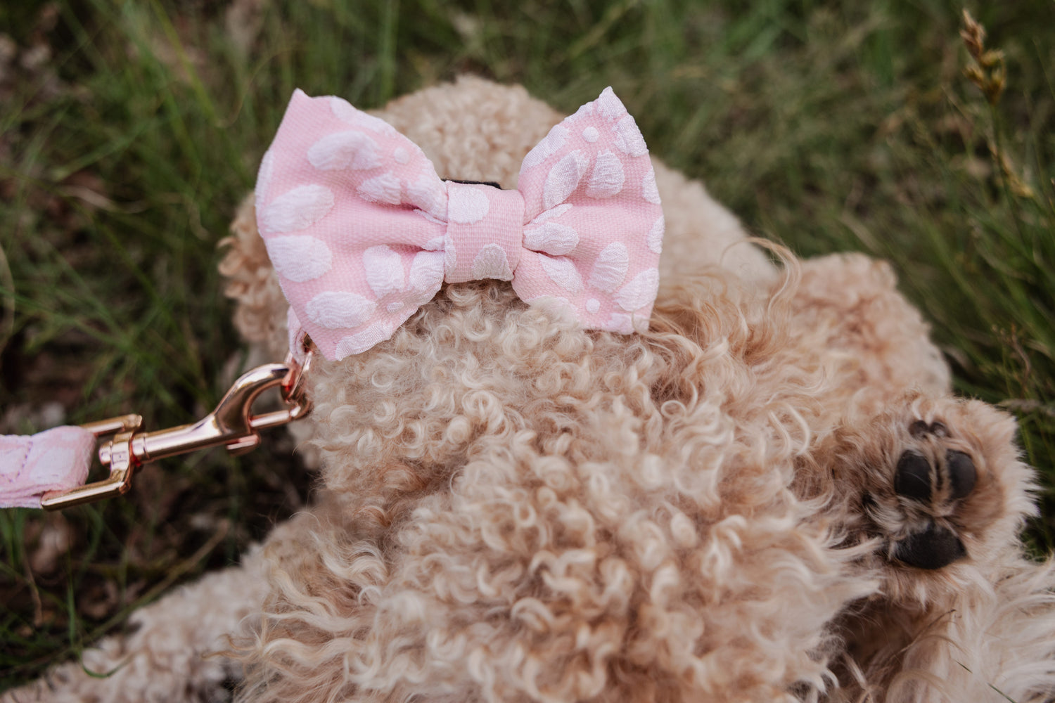 Rosy Bloom Bow Tie - Perlujo