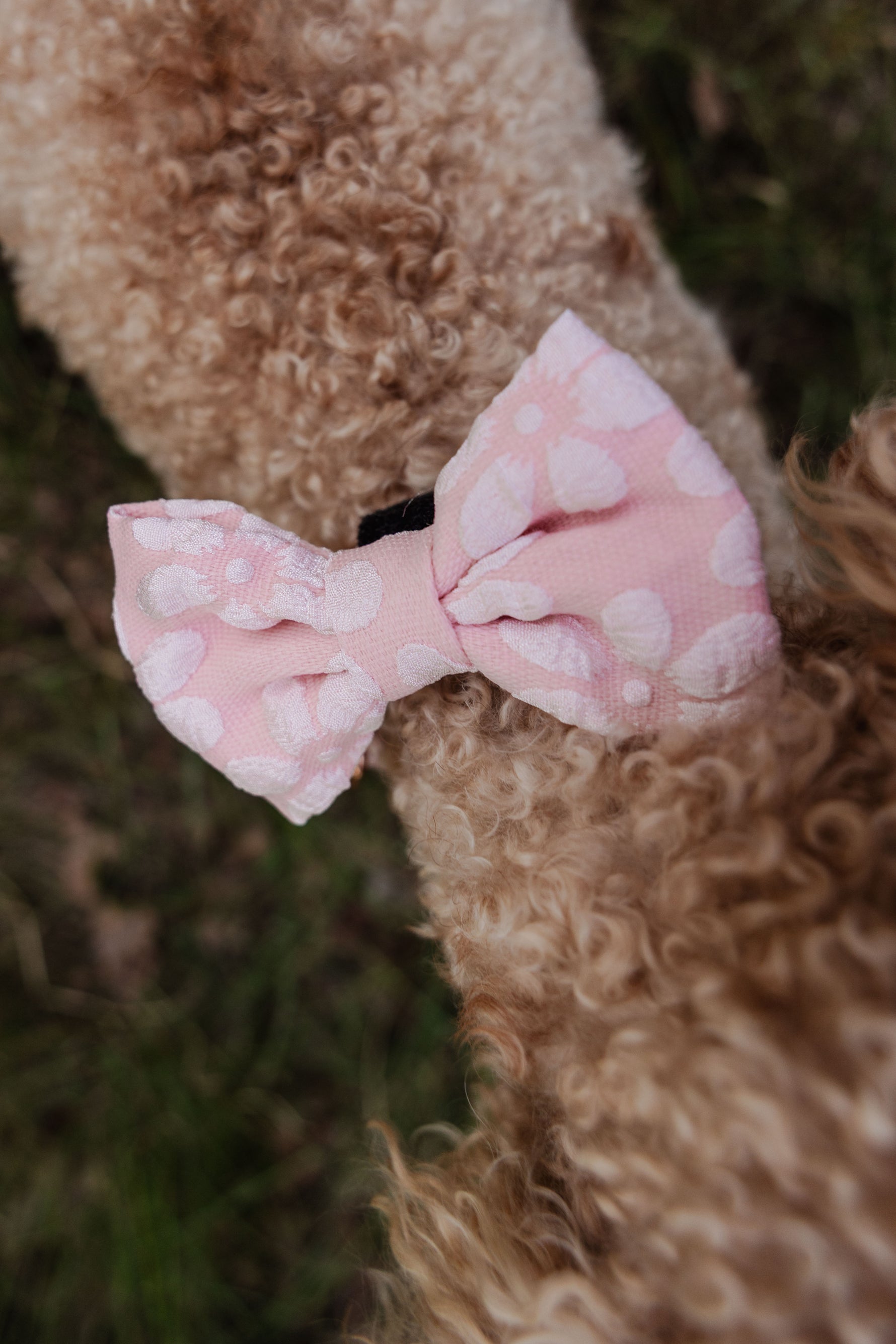 Rosy Bloom Bow Tie - Perlujo