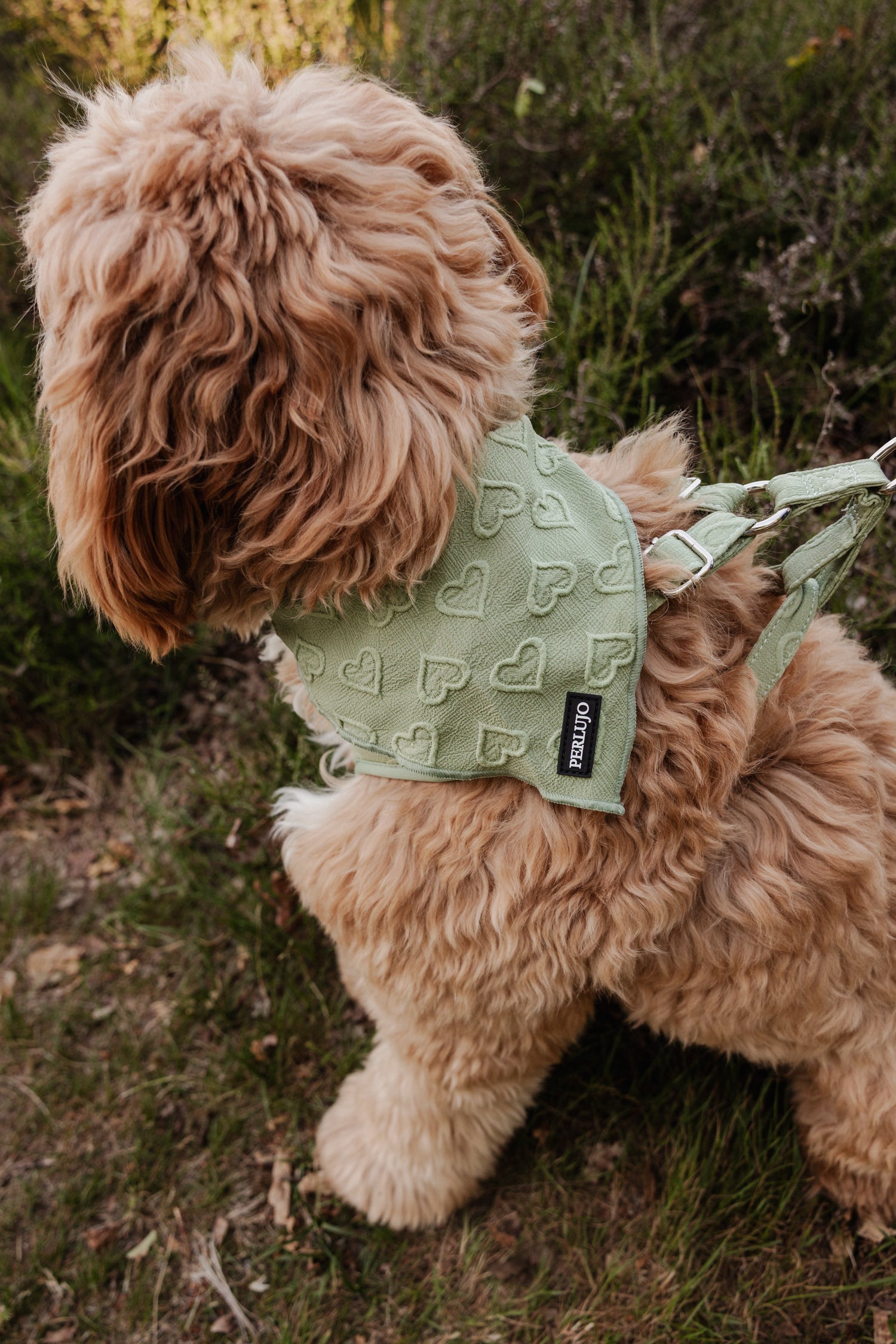 Minty Love Bandana - Perlujo