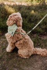 Minty Love Bandana - Perlujo