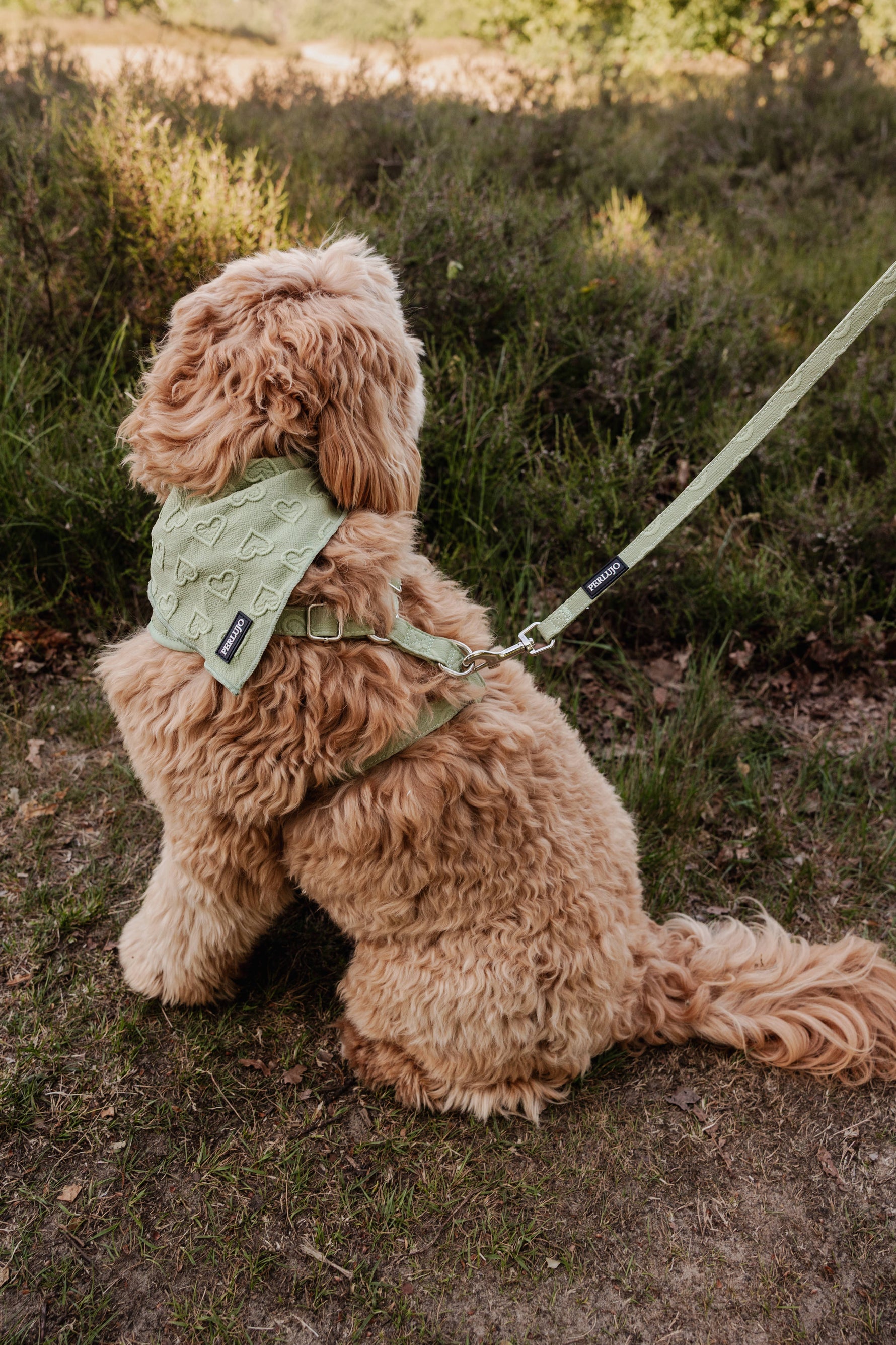 Minty Love Bandana - Perlujo
