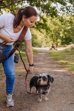 Midnight Black meets Classic Comfort Dog Walking Set - Perlujo