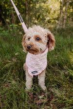 Rosy Bloom Bandana - Perlujo