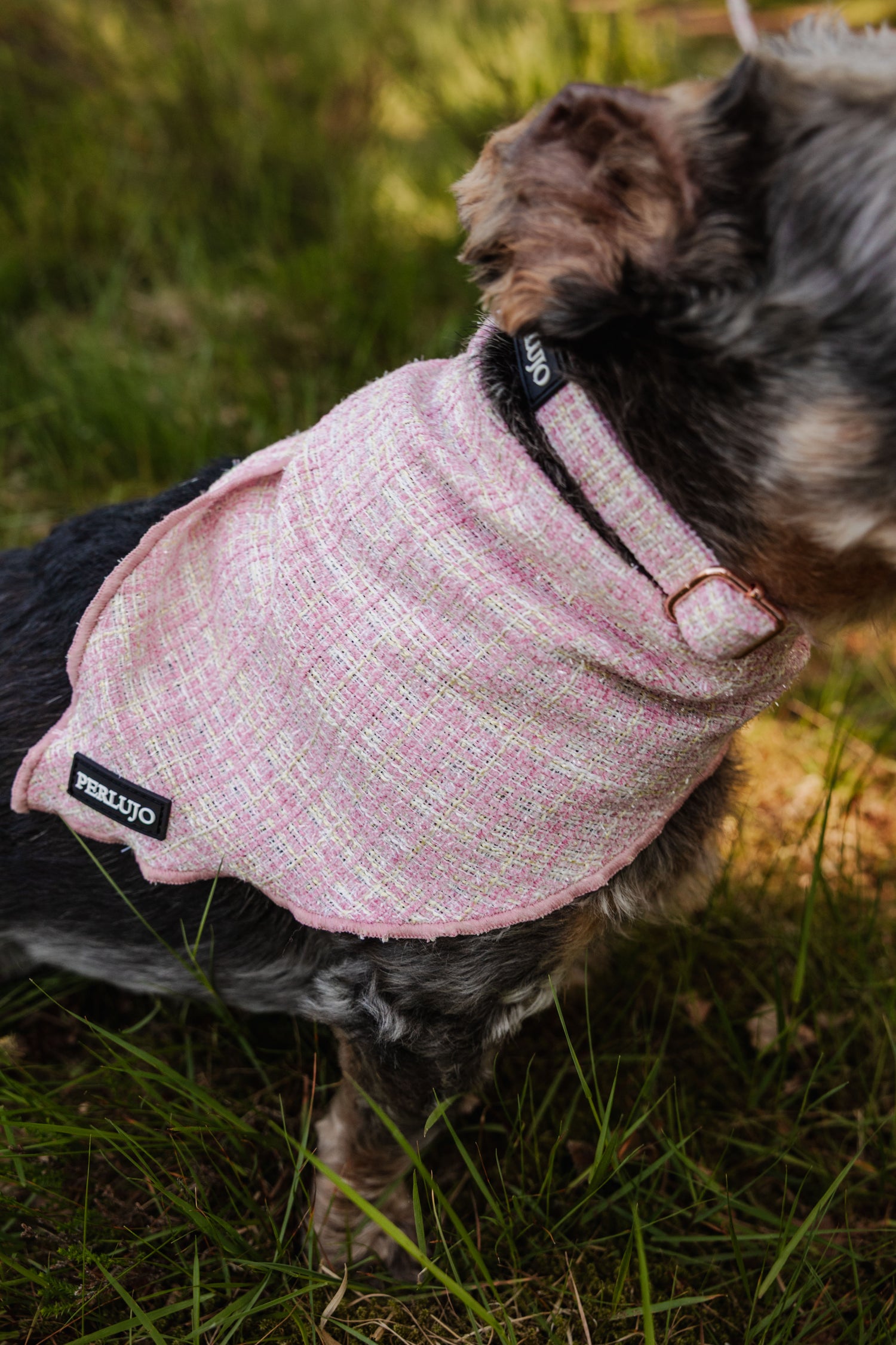 Blush Tweed Bandana - Perlujo