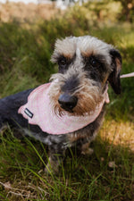 Blush Tweed Bandana - Perlujo