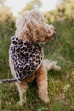 Wild Elegance Bandana - Perlujo