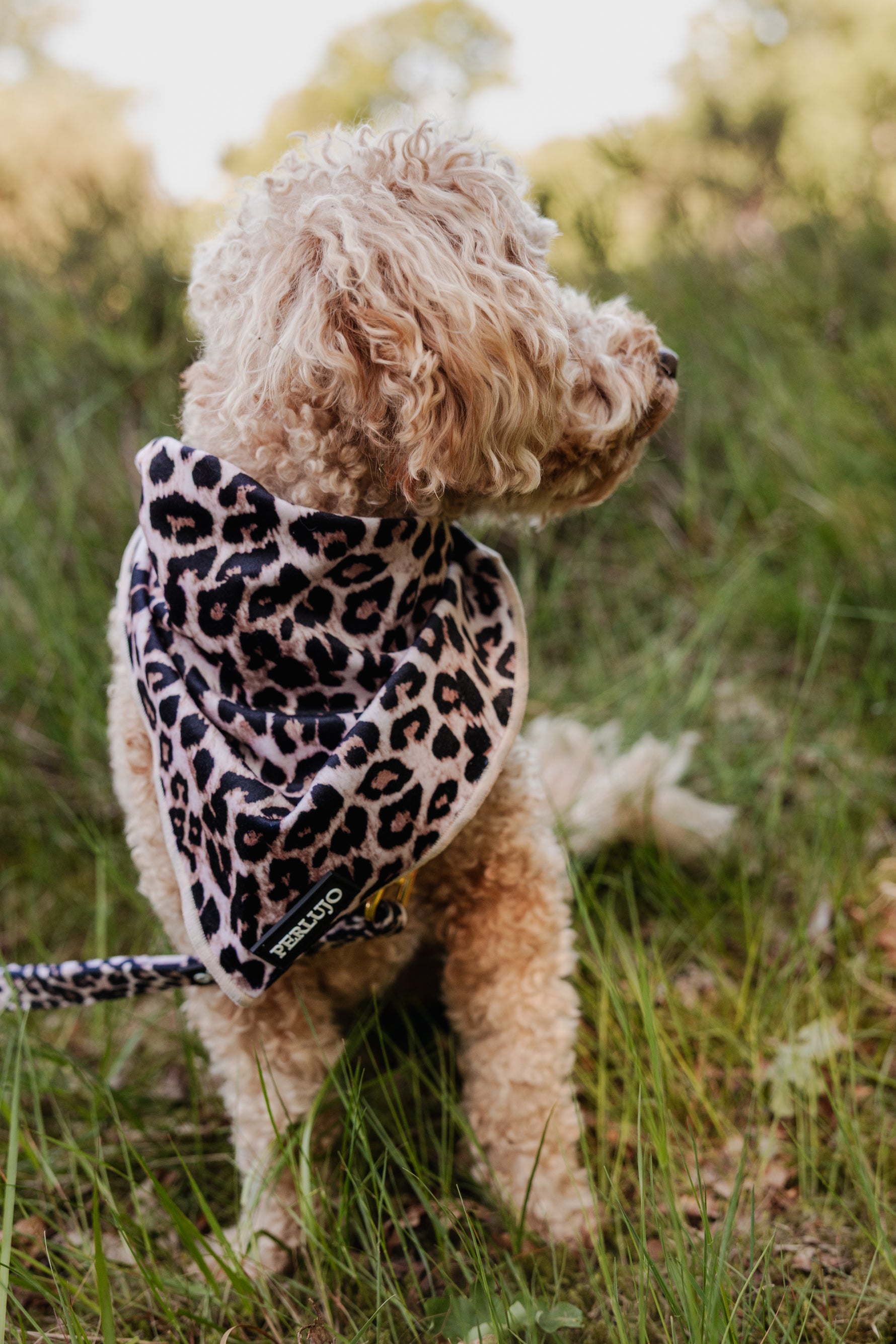 Wild Elegance Bandana - Perlujo