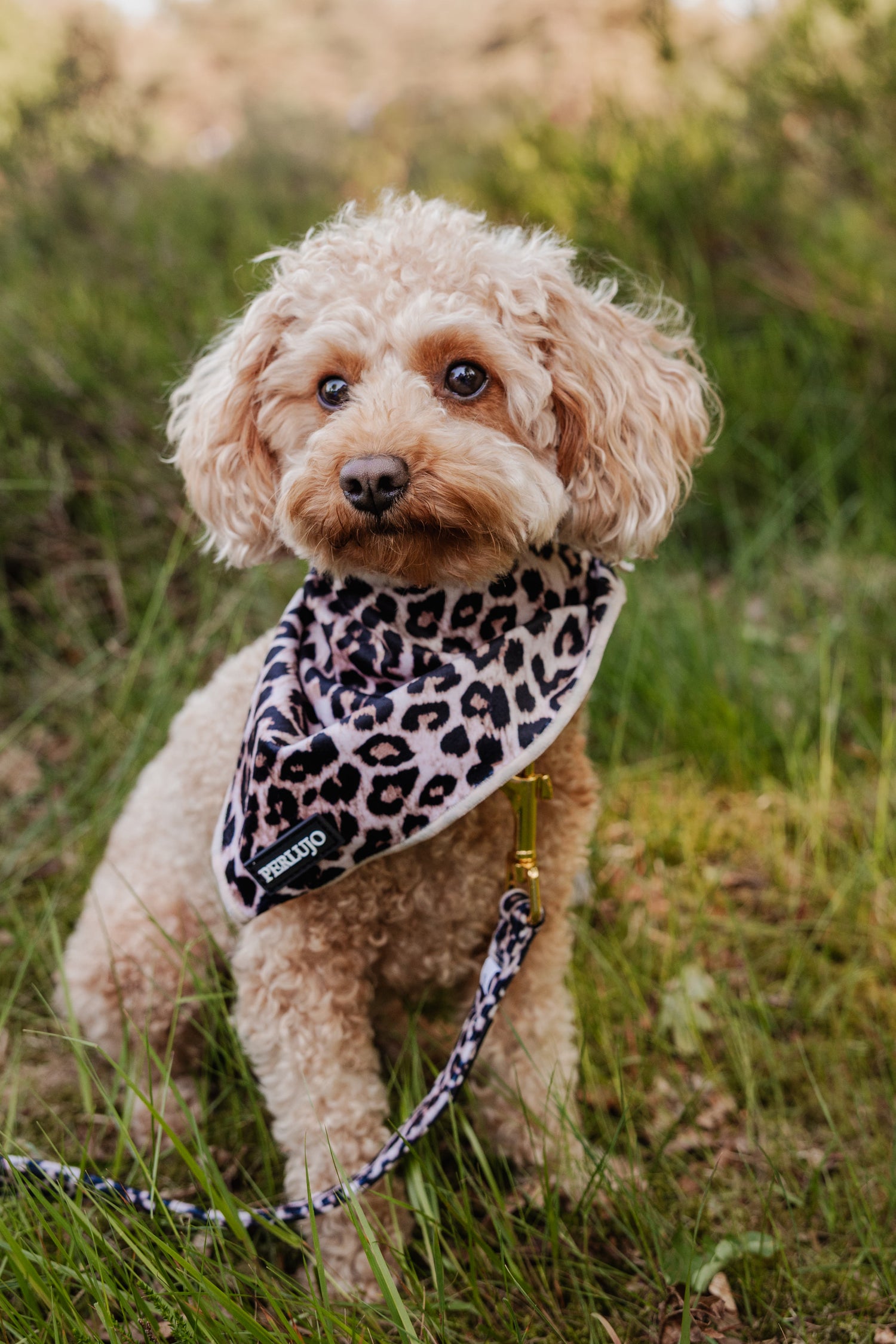 Wild Elegance Bandana - Perlujo