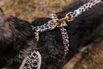 Wild Elegance Essentials Ensemble: Adjustable Neck Harness, Collar & Leash - Perlujo