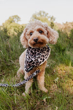 Wild Elegance Bandana - Perlujo
