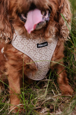 Champagne Clover Essentials Ensemble: Adjustable Neck Harness, Collar & Leash - Perlujo