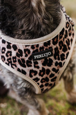 Wild Elegance Adjustable Neck Harness - Perlujo