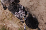 Wild Elegance Sailor Bow Tie - Perlujo