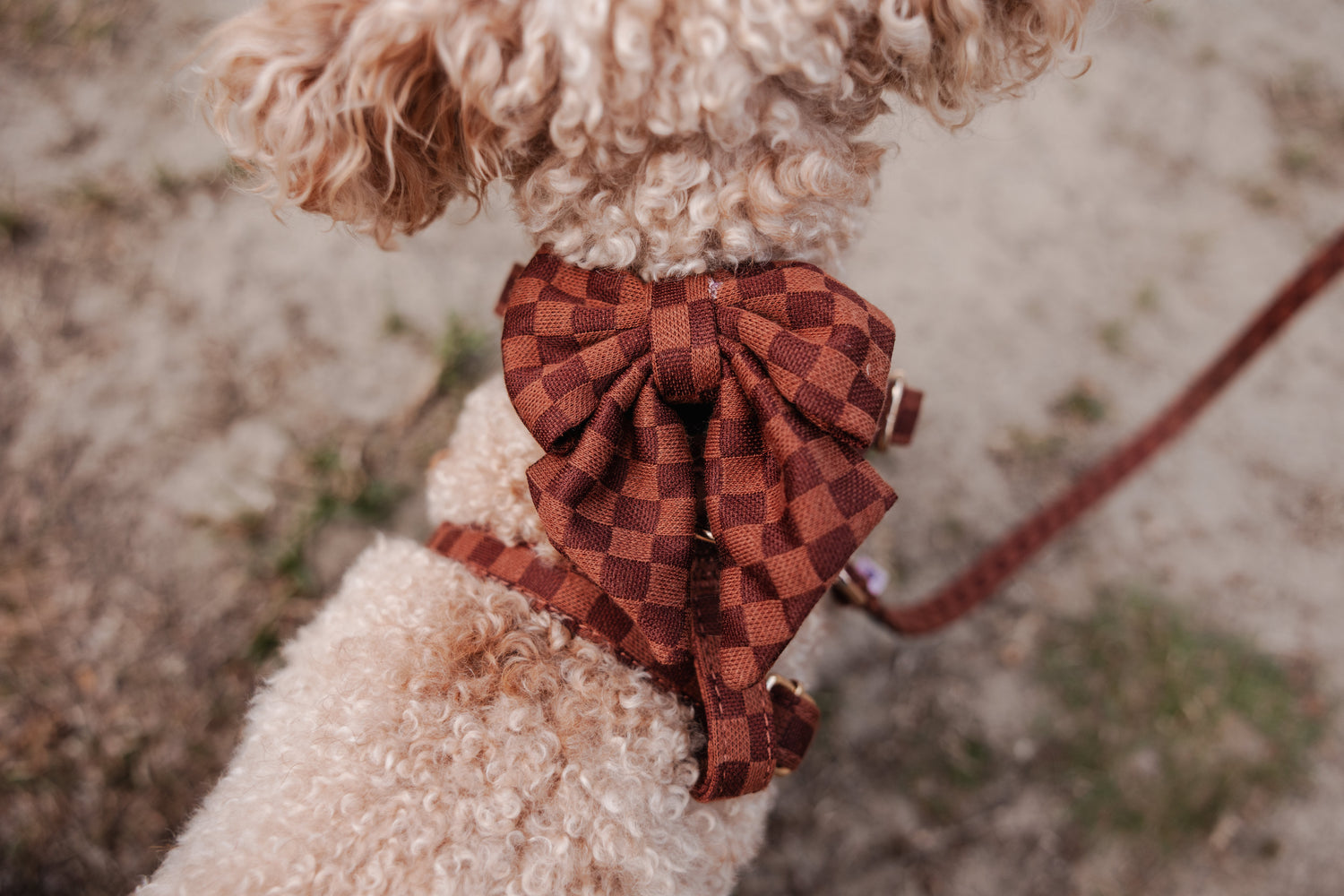 Classic Comfort Sailor Bow Tie - Perlujo