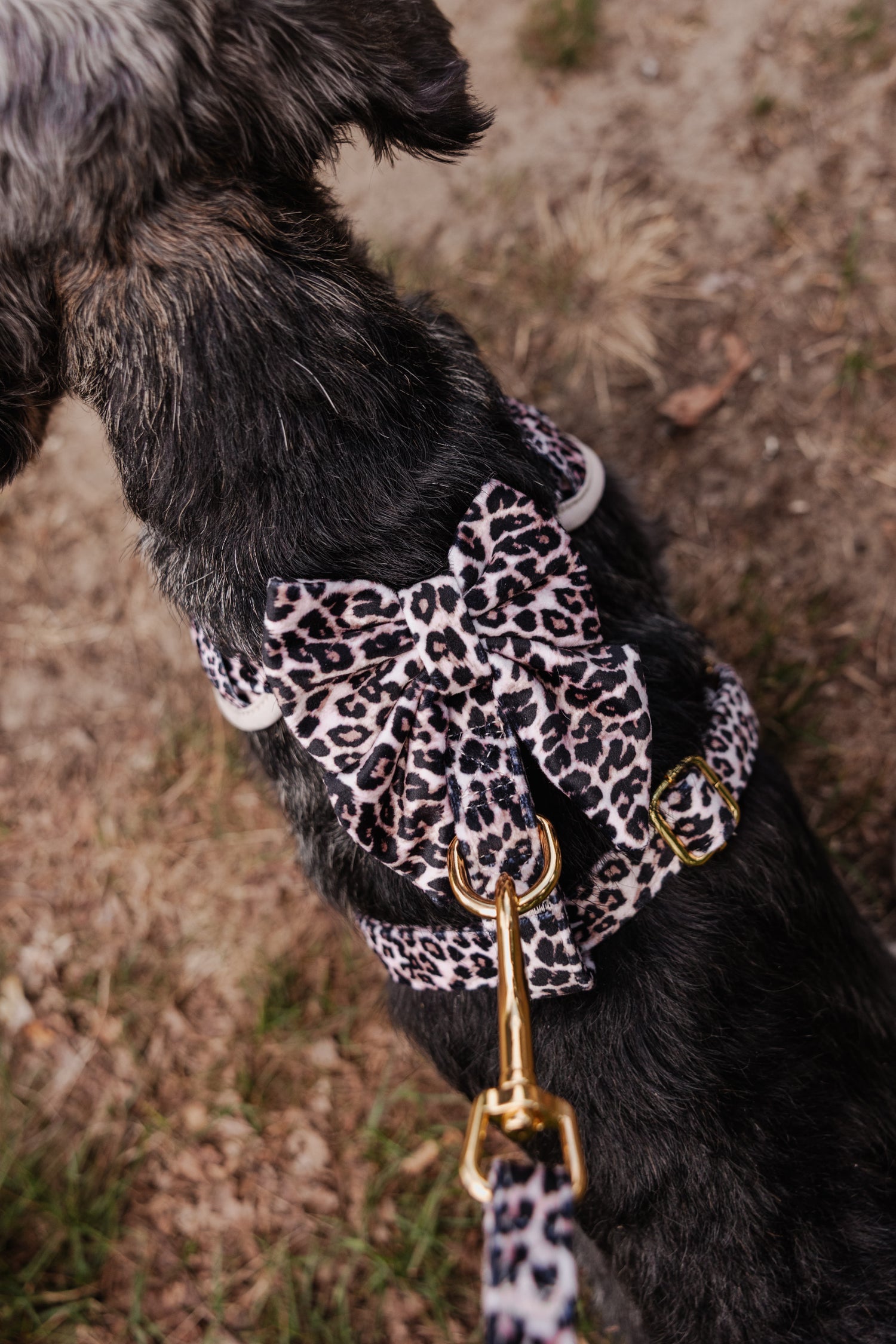 Wild Elegance Sailor Bow Tie - Perlujo