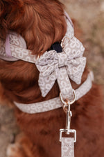 Champagne Clover Sailor Bow Tie - Perlujo