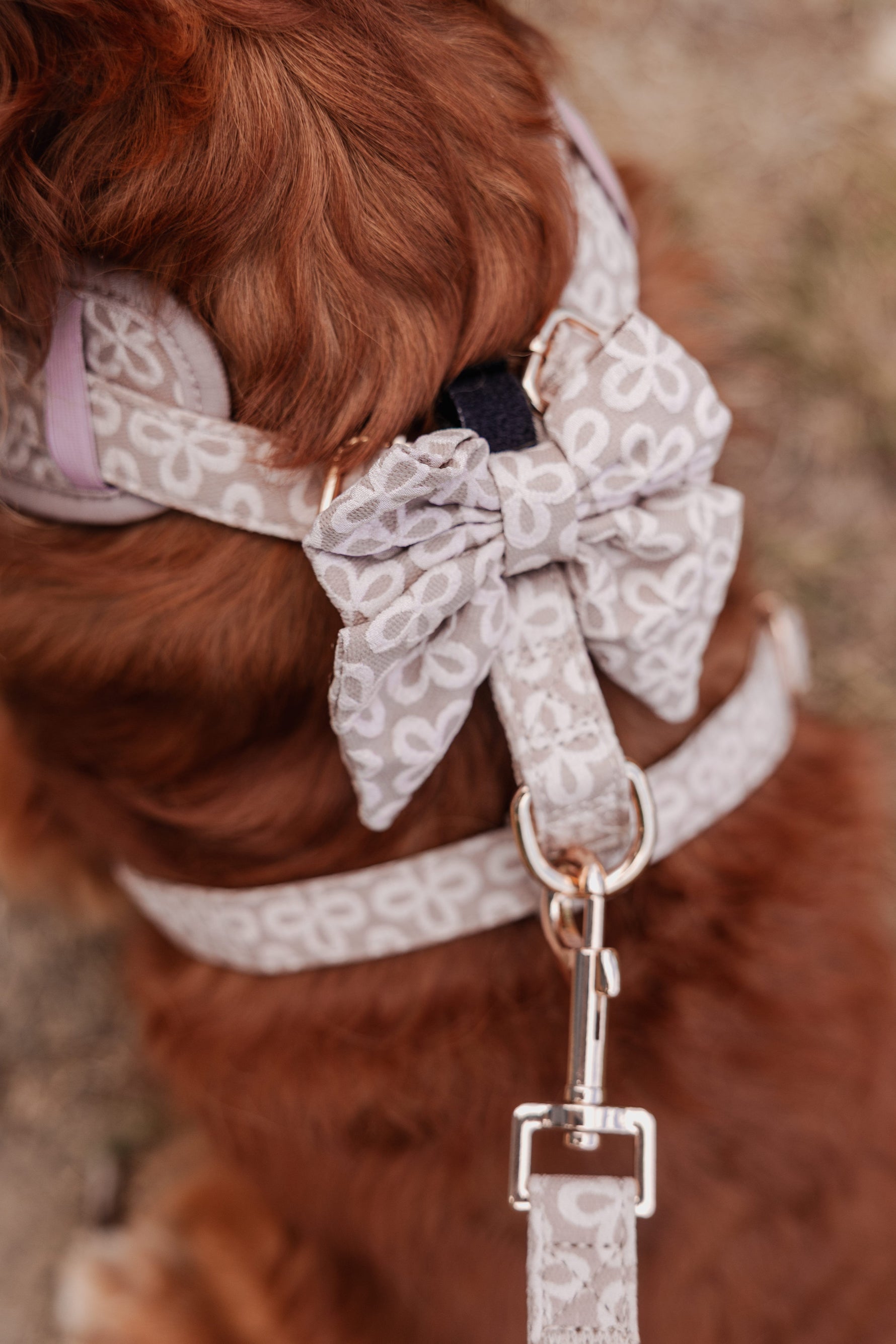 Champagne Clover Sailor Bow Tie - Perlujo