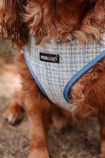Sky Tweed Essentials Ensemble: Adjustable Neck Harness, Collar & Leash - Perlujo