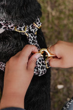 Wild Elegance Adjustable Neck Harness - Perlujo