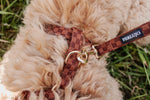 Classic Comfort Essentials Ensemble: Adjustable Neck Harness, Collar & Leash - Perlujo