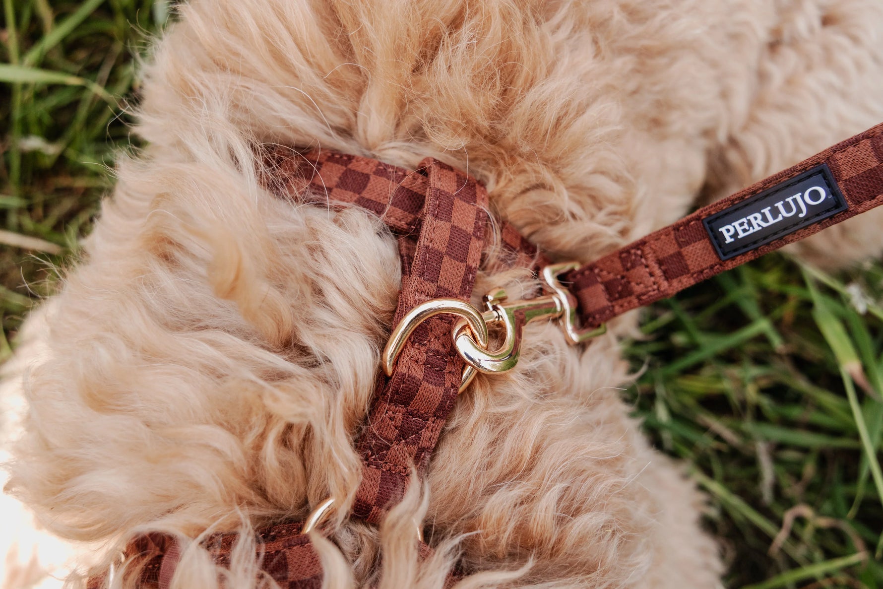 Classic Comfort Essentials Ensemble: Adjustable Neck Harness, Collar & Leash - Perlujo
