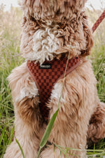 Classic Comfort Essentials Ensemble: Adjustable Neck Harness, Collar & Leash - Perlujo