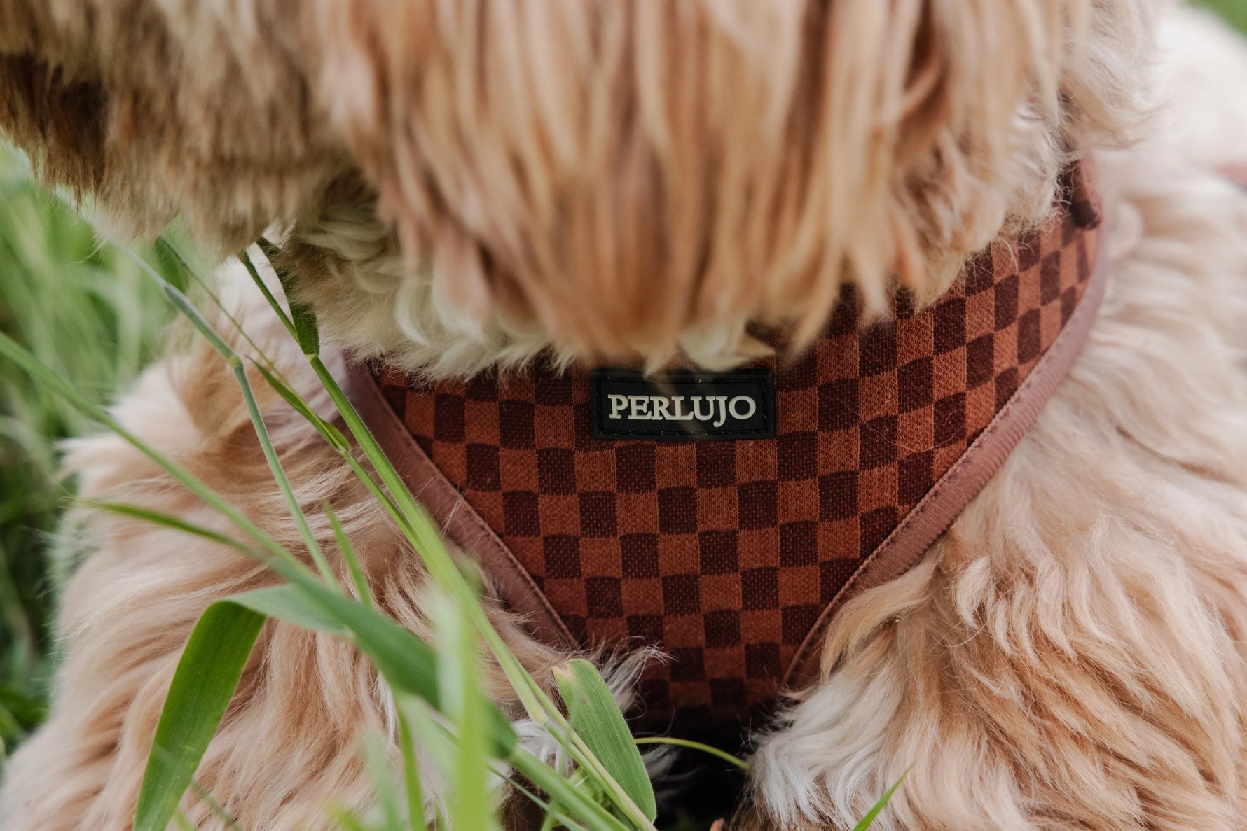 Classic Comfort Essentials Ensemble: Adjustable Neck Harness, Collar & Leash - Perlujo