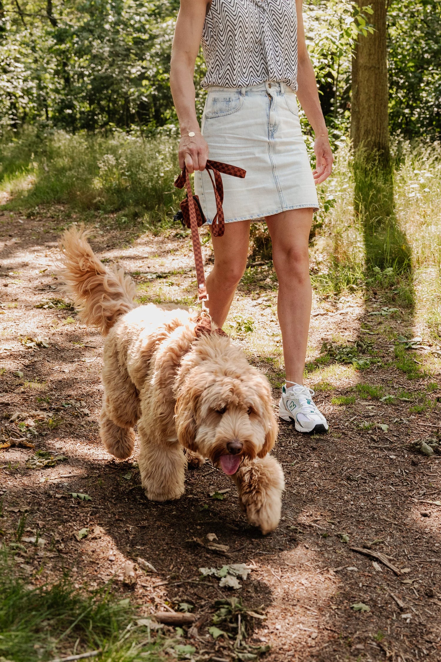 Classic Comfort Essentials Ensemble: Adjustable Neck Harness, Collar & Leash - Perlujo