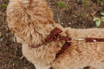 Classic Comfort Leash - Perlujo