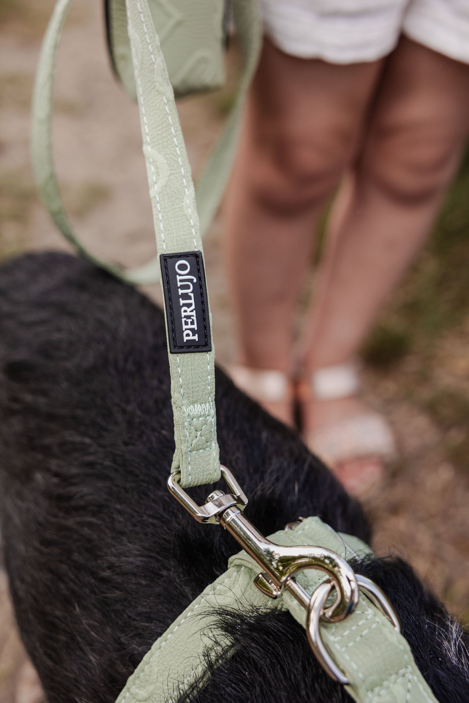Minty Love Essentials Ensemble: Adjustable Neck Harness, Collar & Leash - Perlujo
