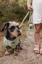 Minty Love Essentials Ensemble: Adjustable Neck Harness, Collar & Leash - Perlujo