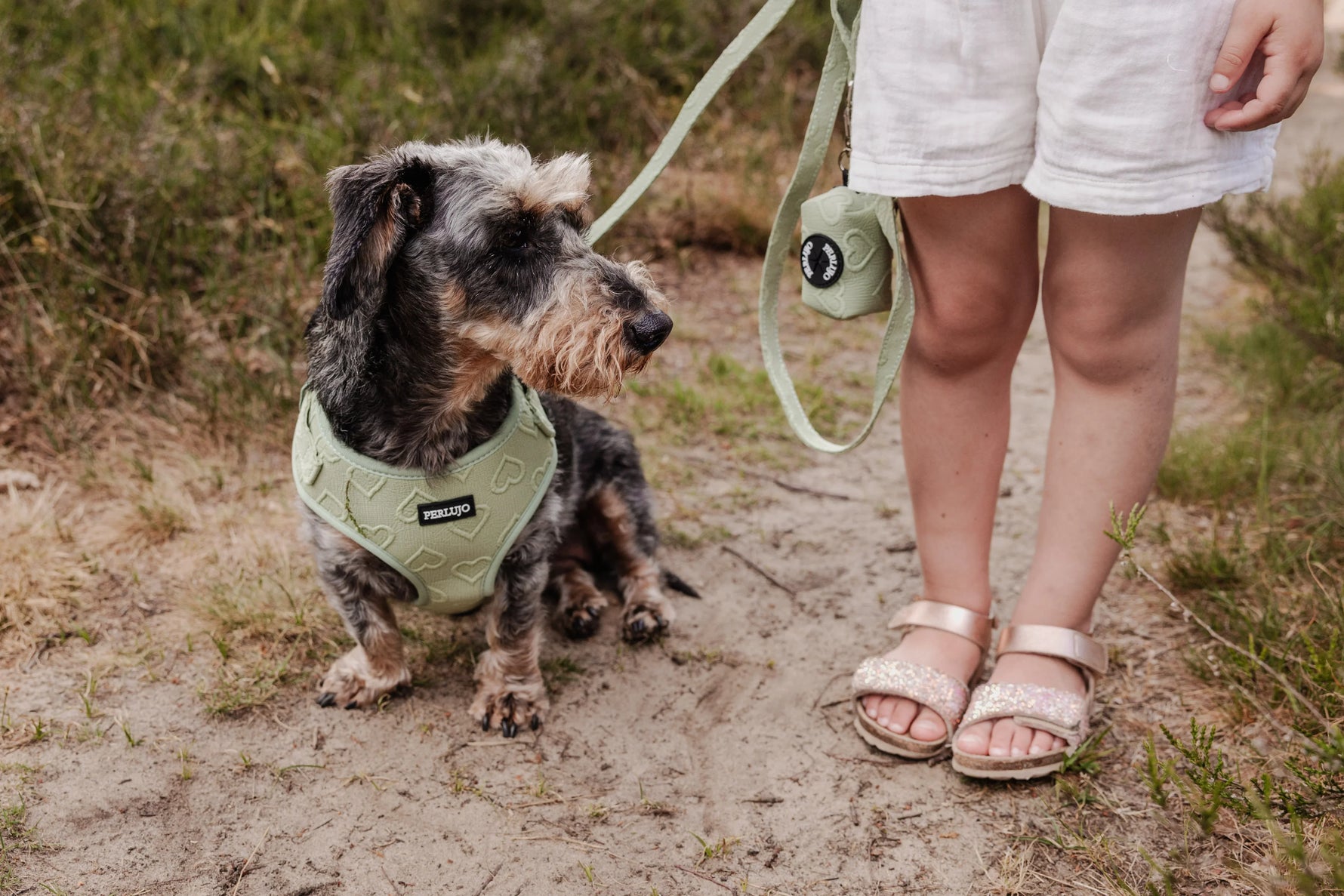 Minty Love Essentials Ensemble: Adjustable Neck Harness, Collar & Leash - Perlujo