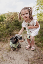 Minty Love Essentials Ensemble: Adjustable Neck Harness, Collar & Leash - Perlujo