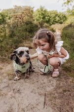 Minty Love Essentials Ensemble: Adjustable Neck Harness, Collar & Leash - Perlujo