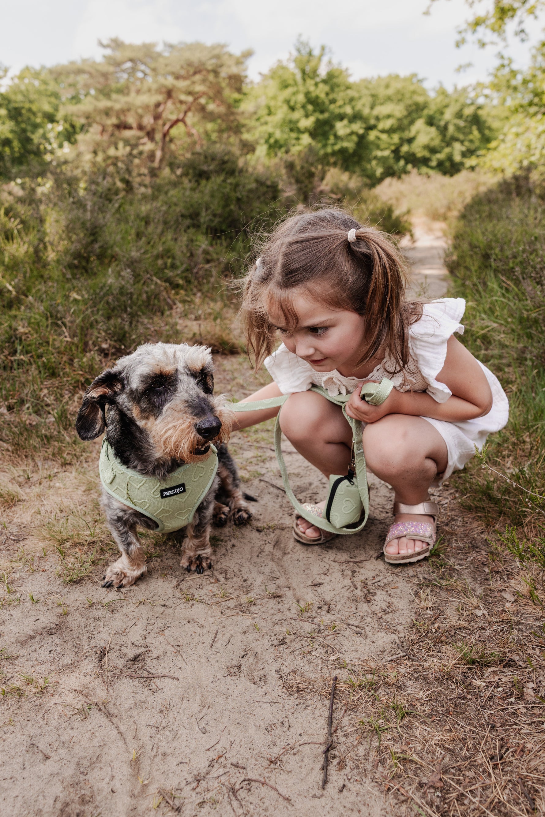Minty Love Essentials Ensemble: Adjustable Neck Harness, Collar & Leash - Perlujo