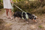 Minty Love Essentials Ensemble: Adjustable Neck Harness, Collar & Leash - Perlujo