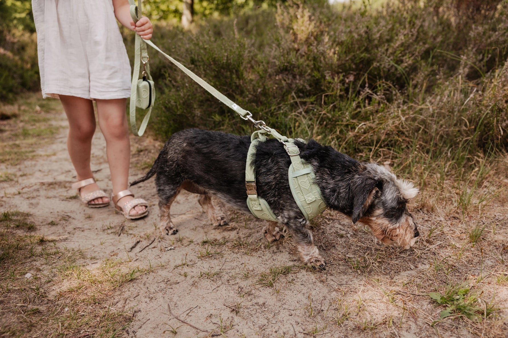 Minty Love Essentials Ensemble: Adjustable Neck Harness, Collar & Leash - Perlujo