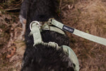 Minty Love Essentials Ensemble: Adjustable Neck Harness, Collar & Leash - Perlujo