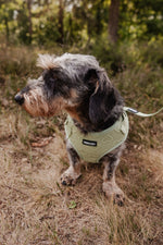 Minty Love Essentials Ensemble: Adjustable Neck Harness, Collar & Leash - Perlujo