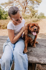 Sky Tweed Essentials Ensemble: Adjustable Neck Harness, Collar & Leash - Perlujo