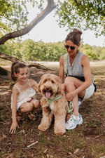 Midnight Black meets Minty Love Dog Walking Set - Perlujo