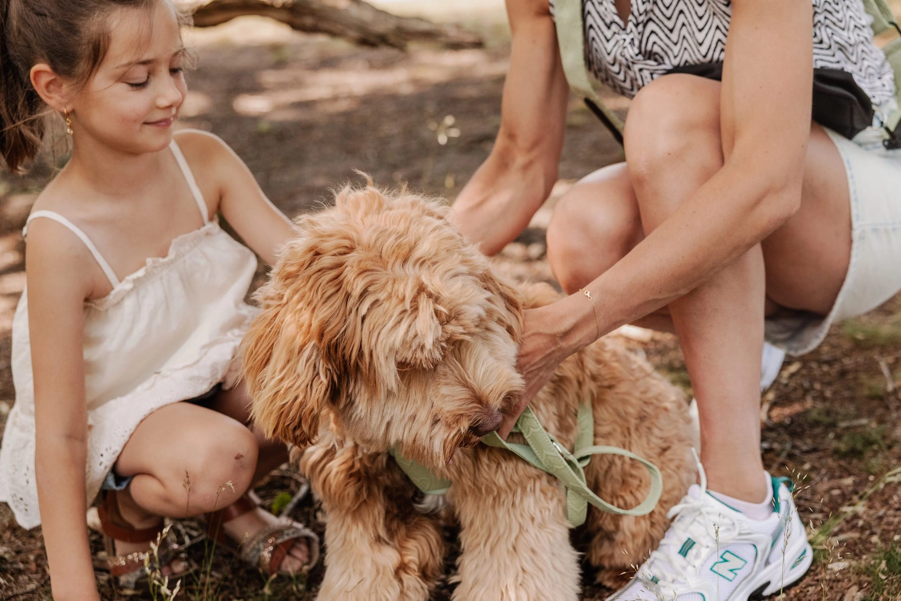 Midnight Black meets Minty Love Dog Walking Set - Perlujo