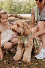 Midnight Black meets Minty Love Dog Walking Set - Perlujo