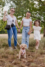 Midnight Black meets Blush Tweed Dog Walking Set - Perlujo