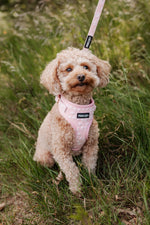 Rosy Bloom Adjustable Neck Harness - Perlujo