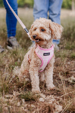 Blush Tweed Essentials Ensemble: Adjustable Neck Harness, Collar & Leash - Perlujo