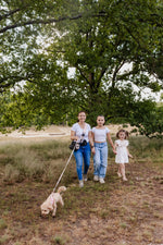 Midnight Black meets Blush Tweed Dog Walking Set - Perlujo