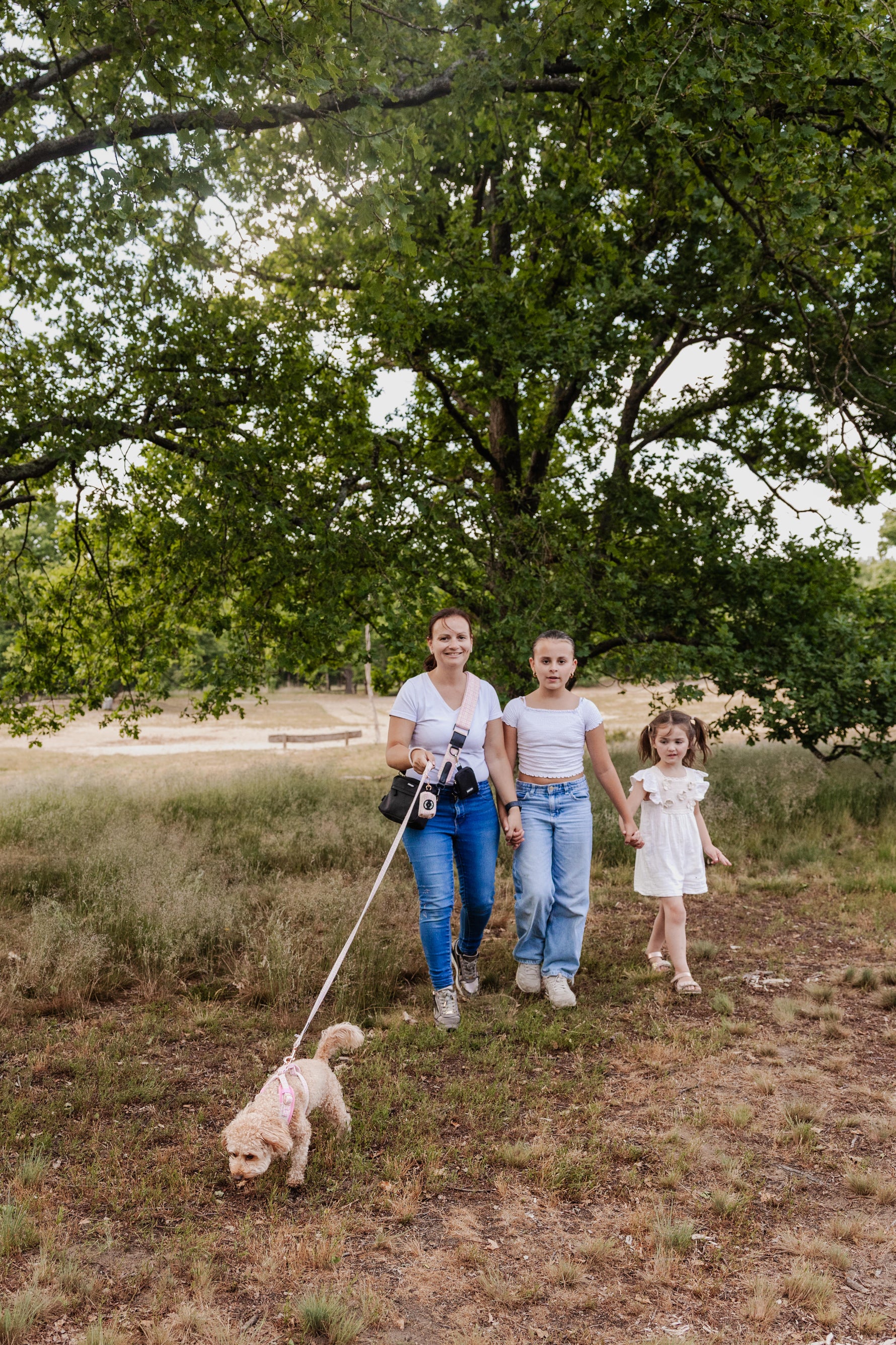 Midnight Black meets Blush Tweed Dog Walking Set - Perlujo